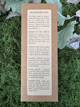 Charger l'image dans la galerie, Échantillonneur de savon d’automne Witches Blessing