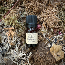 Load image into Gallery viewer, Magical Spell Ink 5ml - dragons blood, moon, bats blood and more!