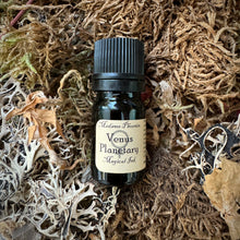 Load image into Gallery viewer, Magical Spell Ink 5ml - dragons blood, moon, bats blood and more!