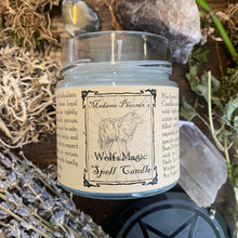 Charger l'image dans la galerie, Bougies de bénédiction d’esprit familier magique animal