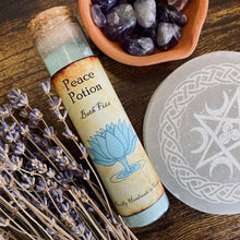 Charger l'image dans la galerie, Potion Bouteille Bain Fizz Magical Baths