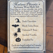 Load image into Gallery viewer, Halloween Treat Bag Wax Melts