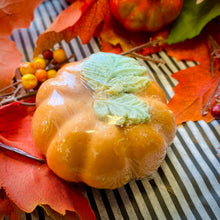 Load image into Gallery viewer, Fall Sampler Seasonal Box Set (limited edition)