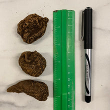 Charger l'image dans la galerie, Les racines du grand Jean le Conquérant