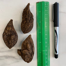 Load image into Gallery viewer, High John the Conqueror Roots