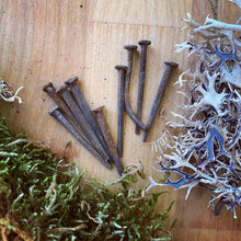 Charger l'image dans la galerie, Clous de cercueil en fer antique