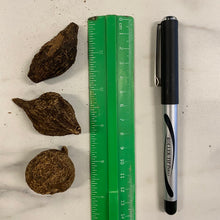 Load image into Gallery viewer, High John the Conqueror Roots