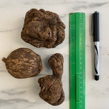 Load image into Gallery viewer, High John the Conqueror Roots