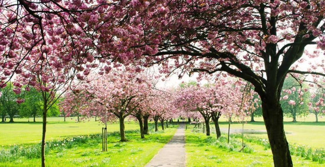 SEASONAL PRODUCTS: Spring