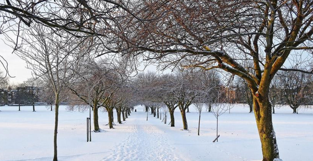 SEASONAL PRODUCTS: Winter