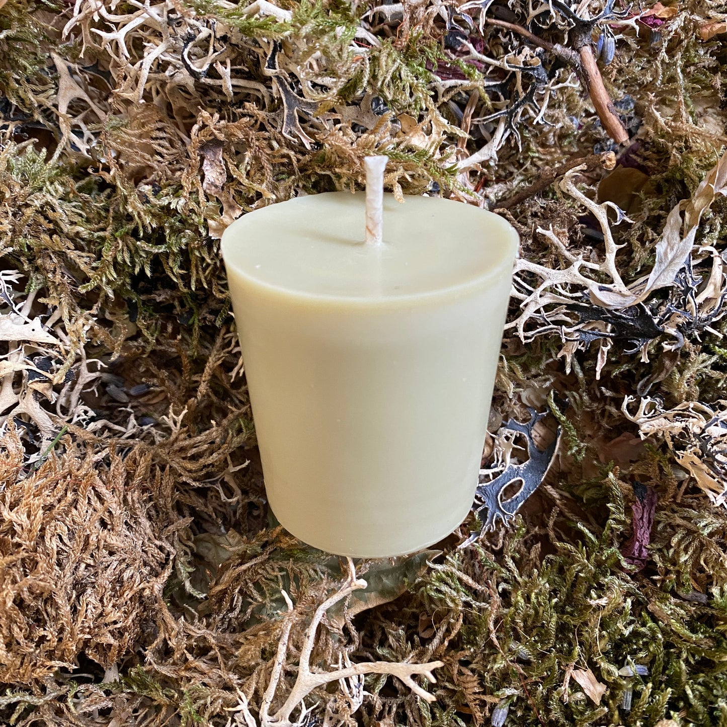 Bougies votives de vacances de bénédiction de prospérité de cire de Bayberry