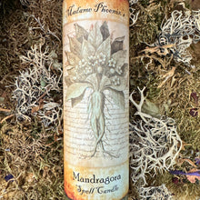 Load image into Gallery viewer, Mandragora | Mandrake 7 Day Candle
