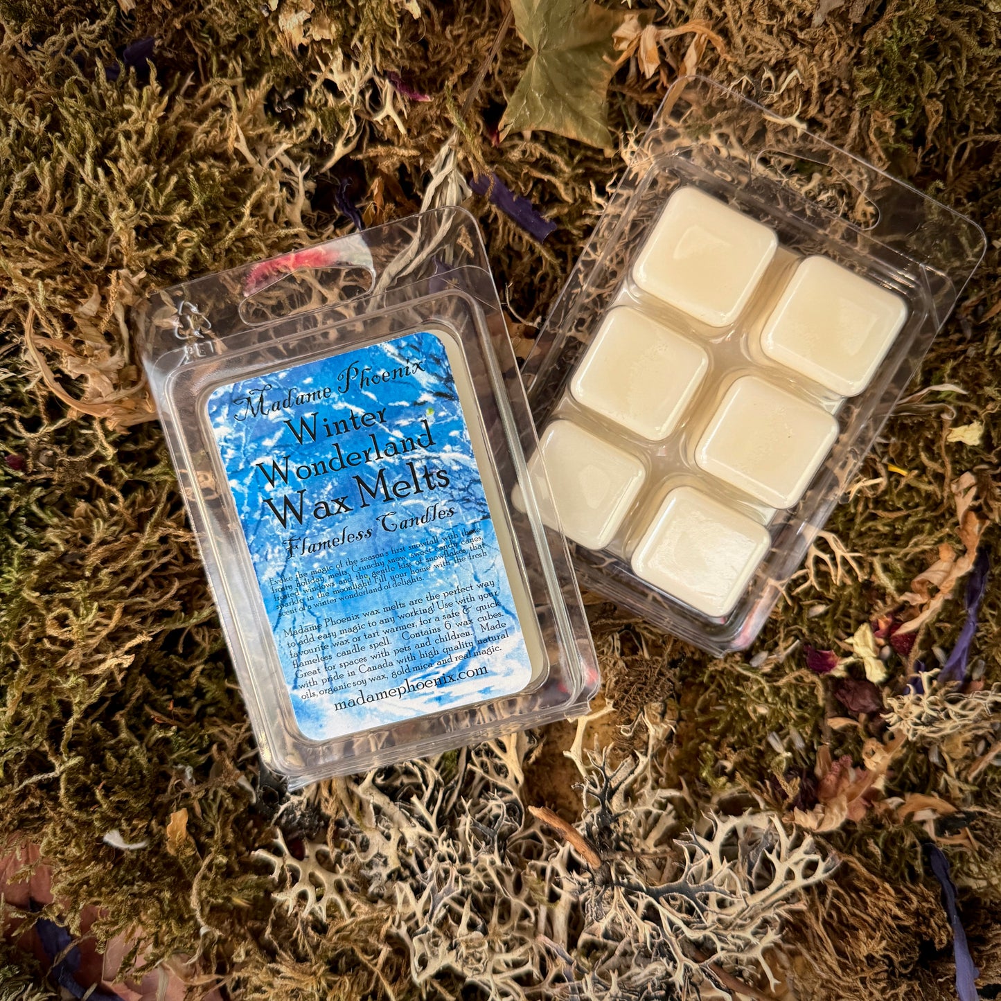 Wax Melt Mini Spell Packs (ENSEMBLE COMPLET)