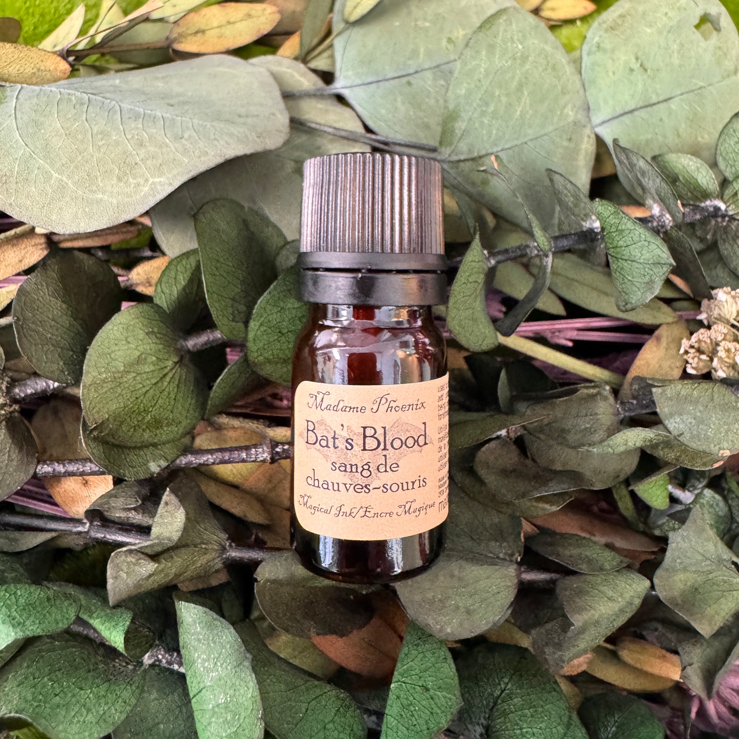 Encre de sort magique – sang de dragon, lune, sang de chauve-souris et plus encore !