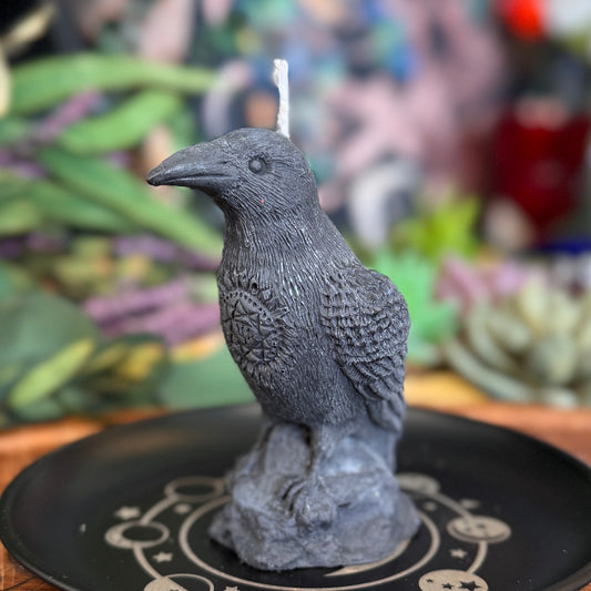 Bougie magique animale esprit corbeau 