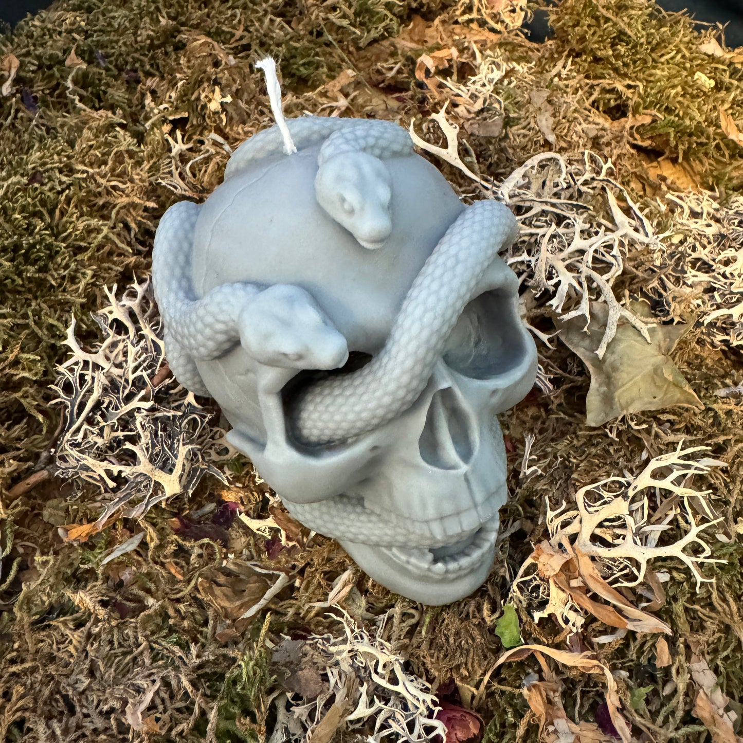Skull and Snake Shaped Candle