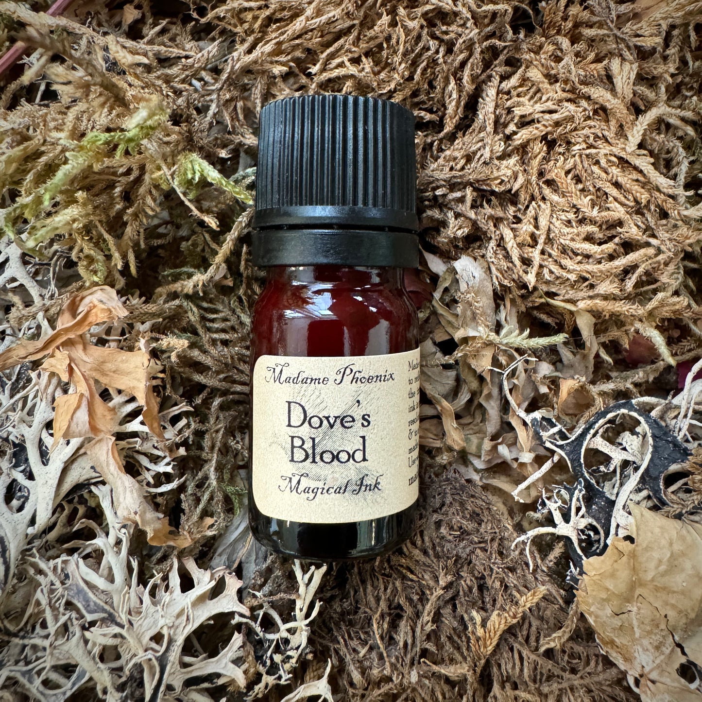 Encre de sort magique – sang de dragon, lune, sang de chauve-souris et plus encore !