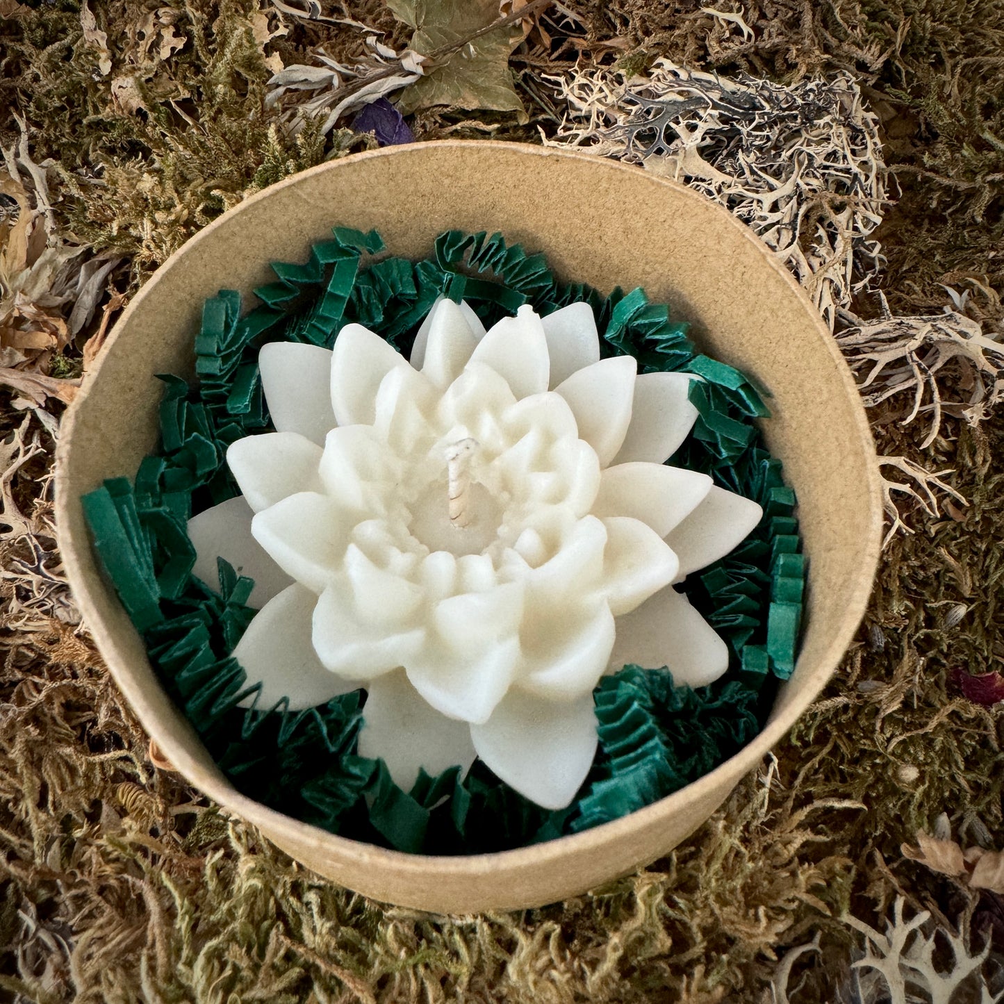 Bougies à la fleur de lotus pour les amoureux de l’eau !