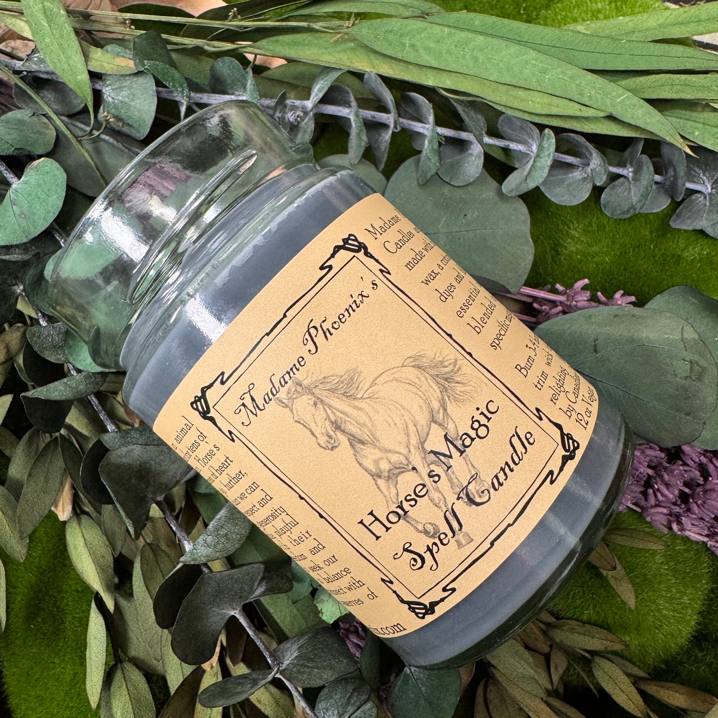 Bougies de bénédiction d’esprit familier magique animal