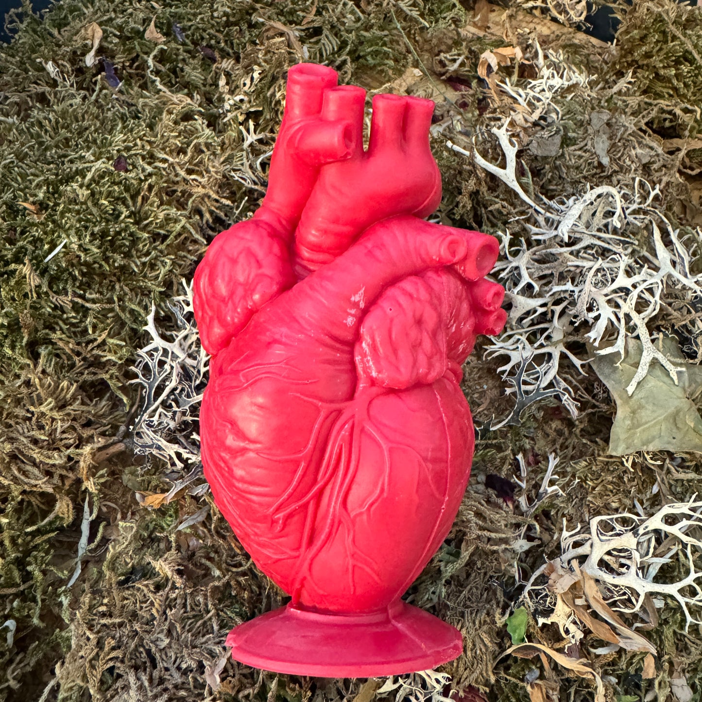 True Heart Anatomical Shaped Spell Candle