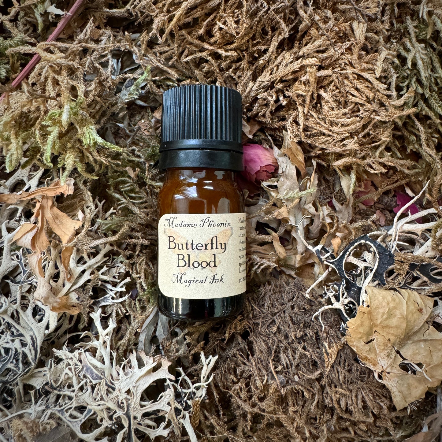 Encre de sort magique – sang de dragon, lune, sang de chauve-souris et plus encore !