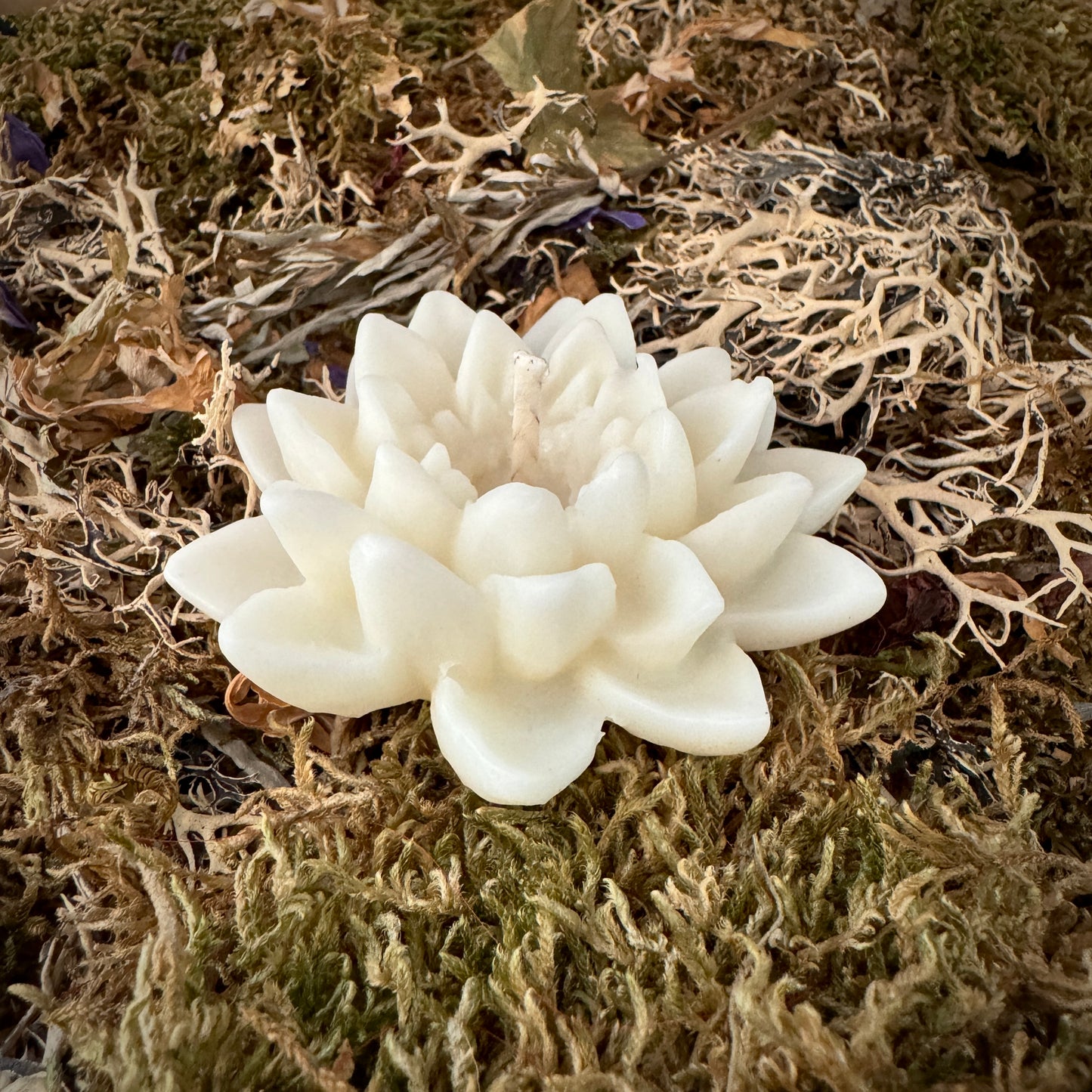 Bougies à la fleur de lotus pour les amoureux de l’eau !