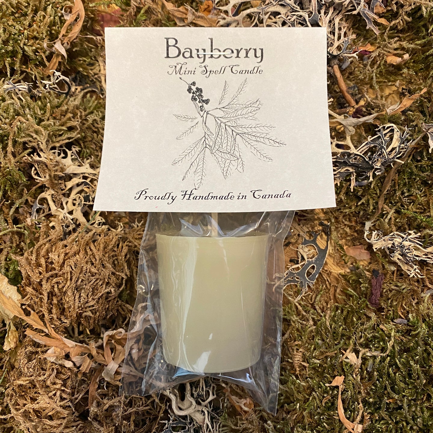 Bougies votives de vacances de bénédiction de prospérité de cire de Bayberry