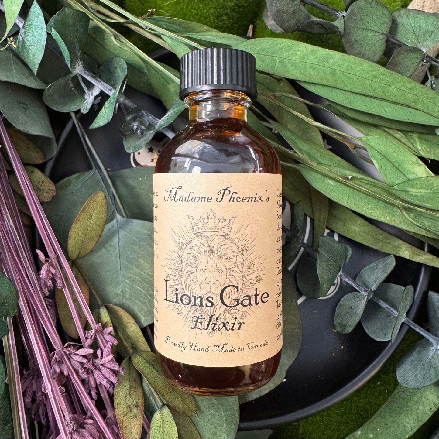 Lions Gate Portal Elixir