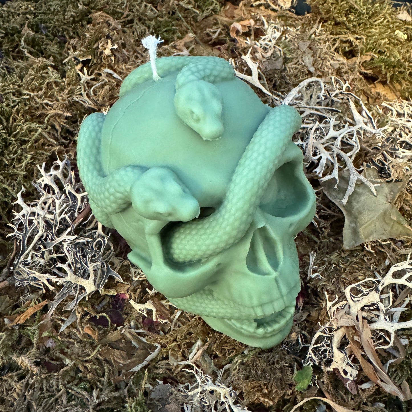 Skull and Snake Shaped Candle