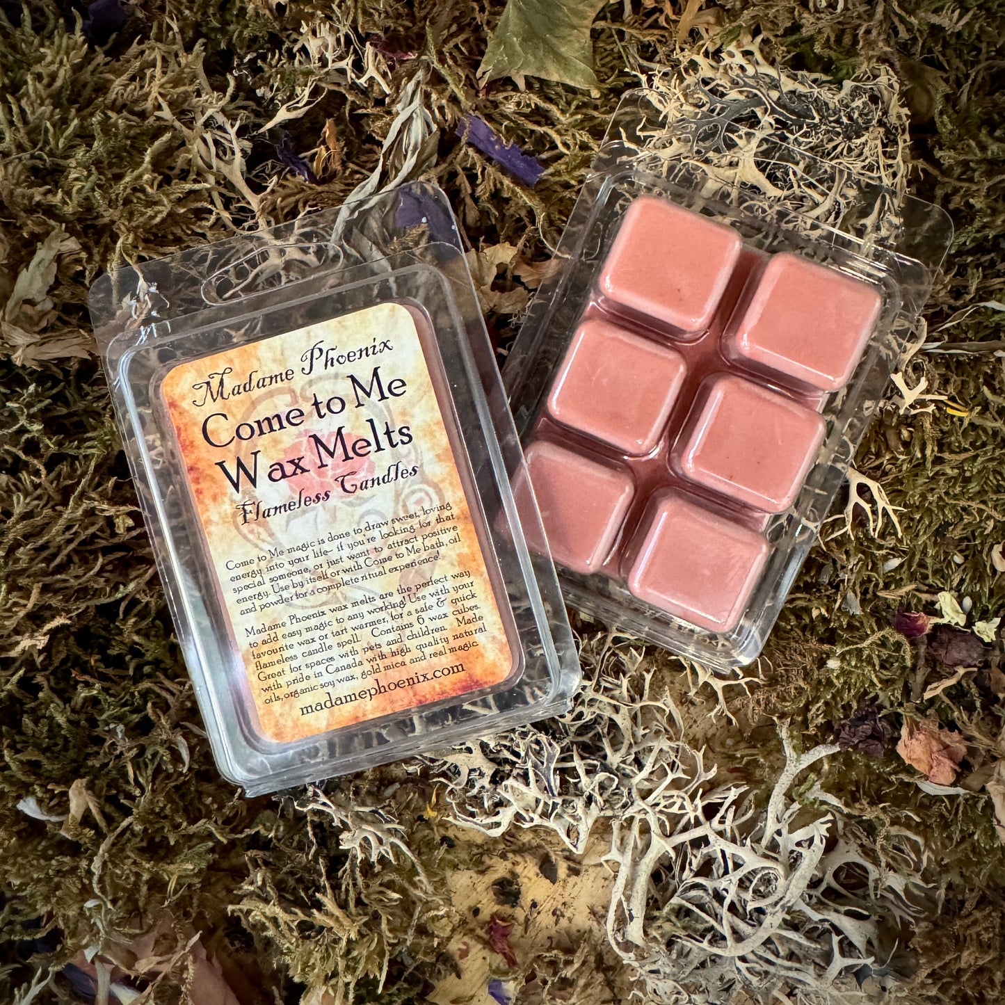 Wax Melt Mini Spell Packs (ENSEMBLE COMPLET)
