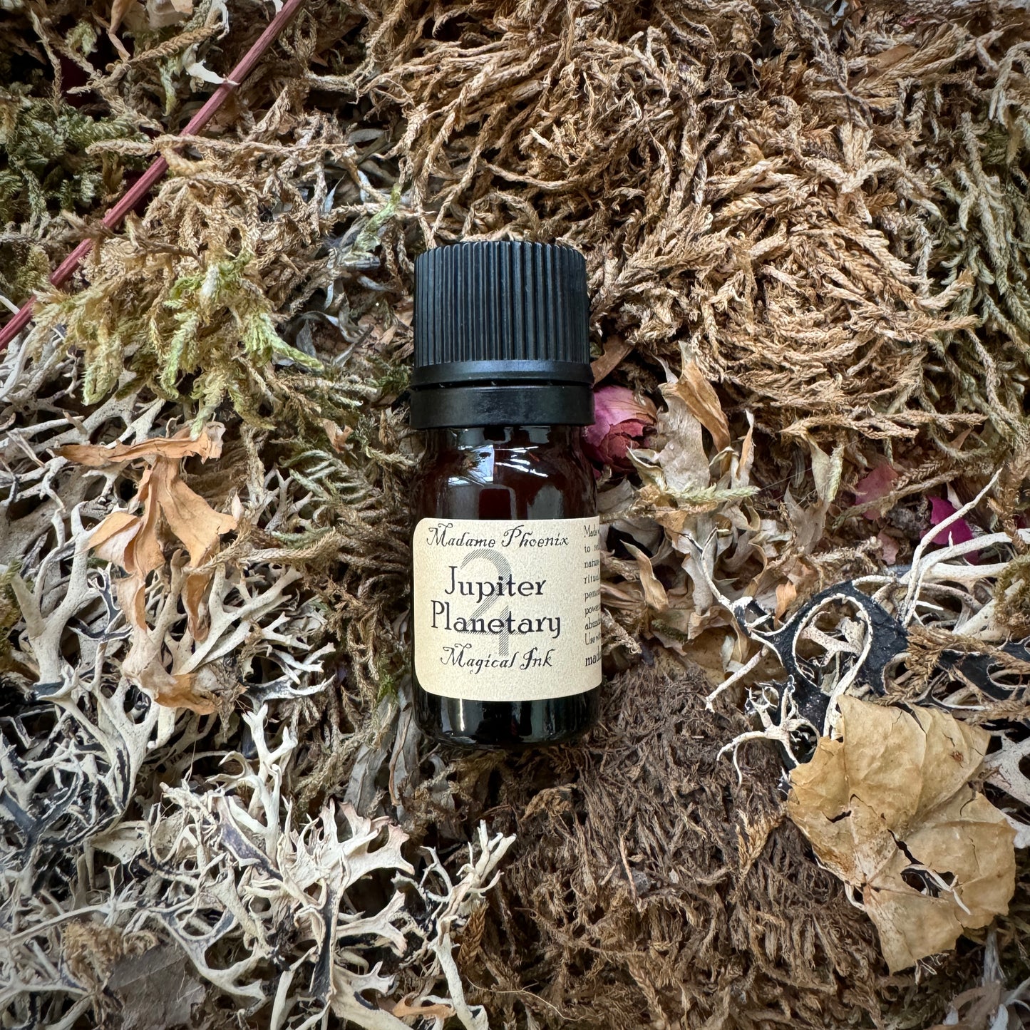 Encre de sort magique – sang de dragon, lune, sang de chauve-souris et plus encore !