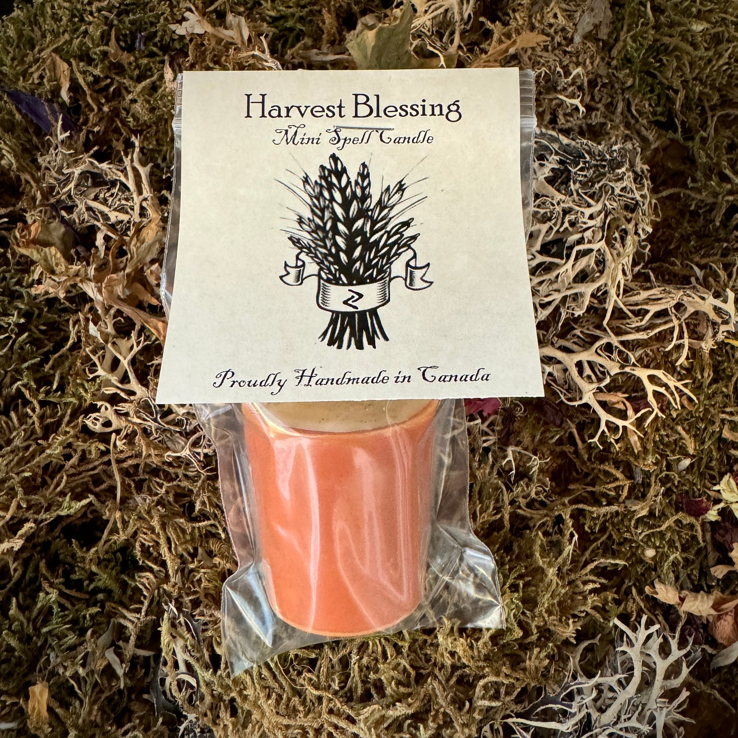 Harvest Blessing Autumn Mini Spell Votive Candles