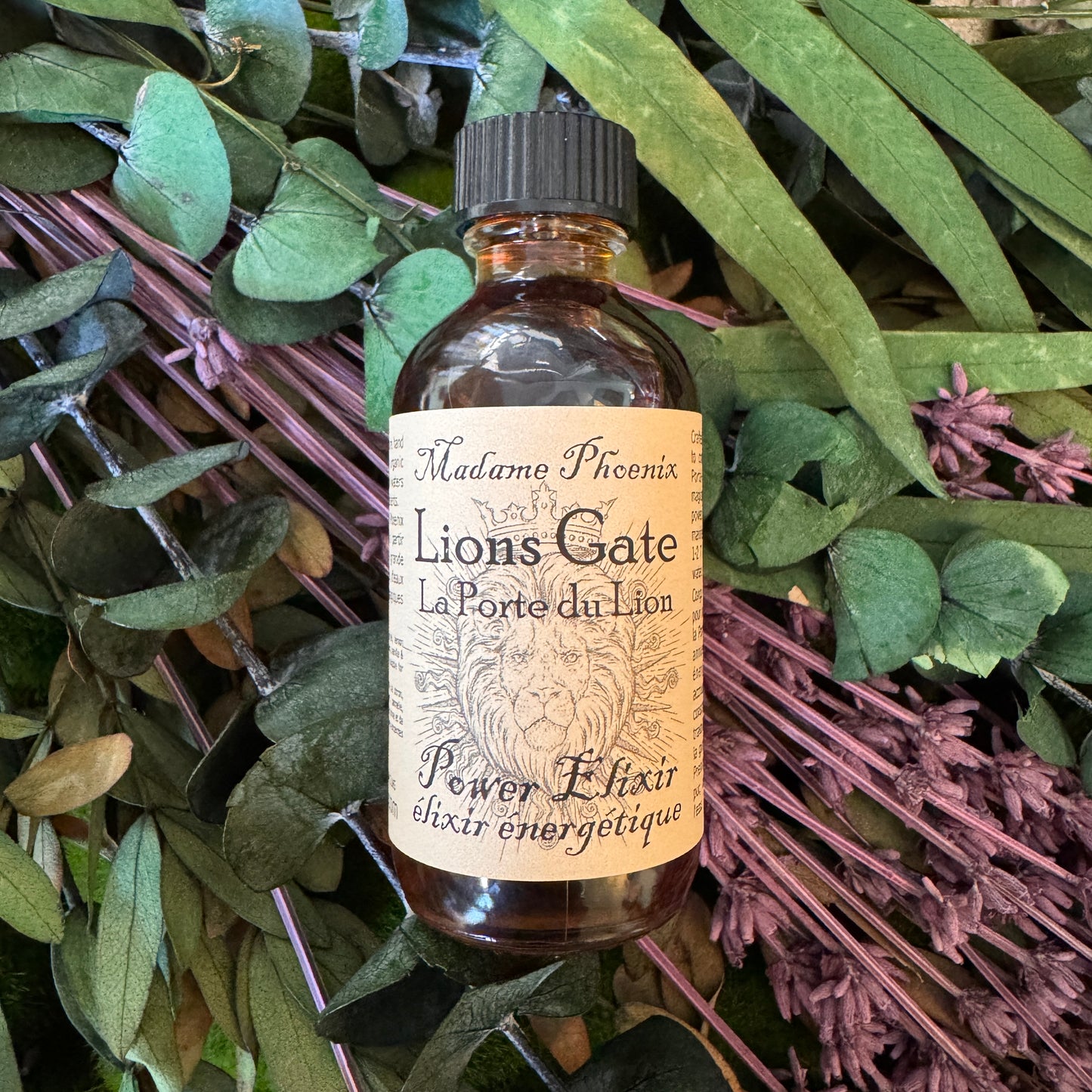 Lions Gate Portal Elixir