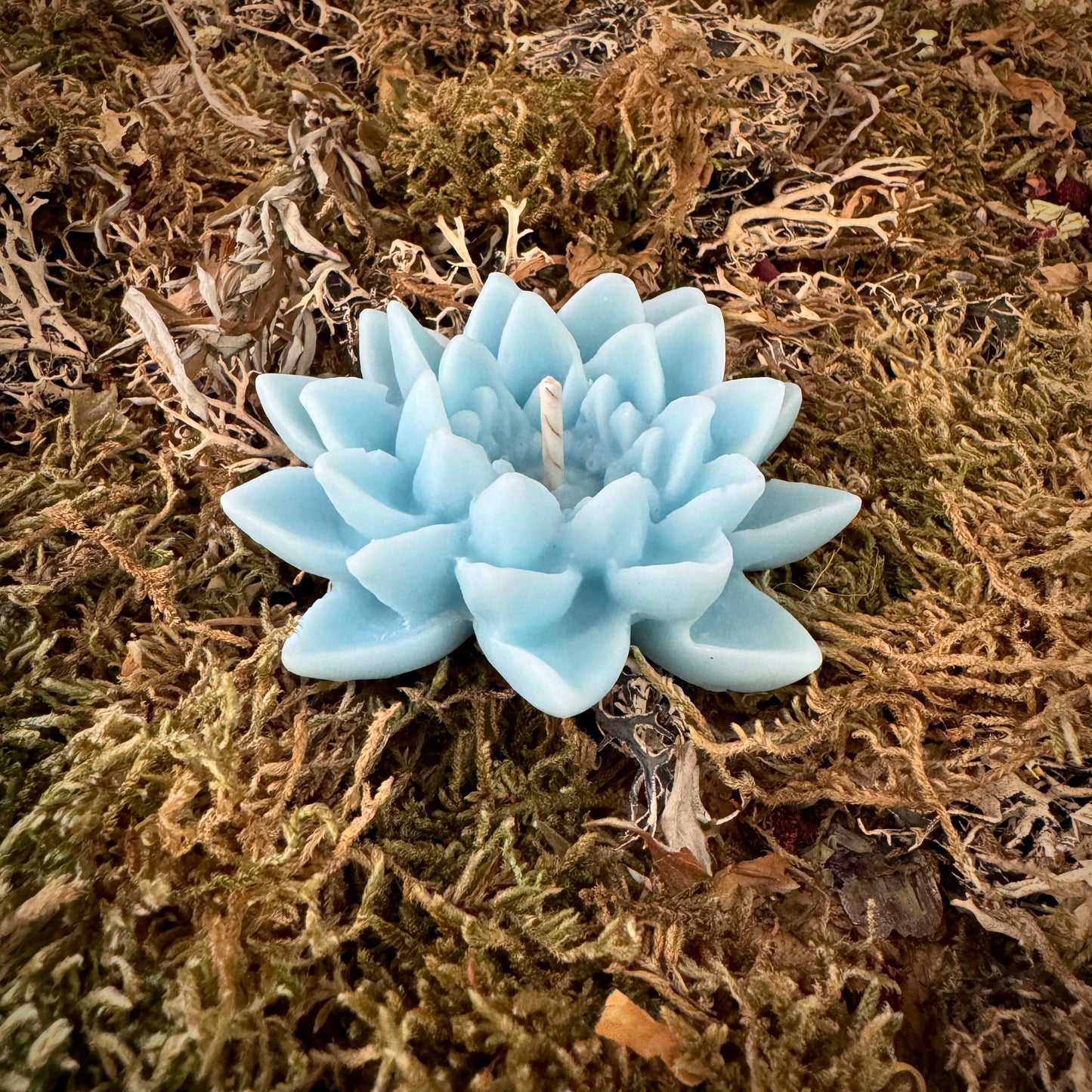 Bougies à la fleur de lotus pour les amoureux de l’eau !