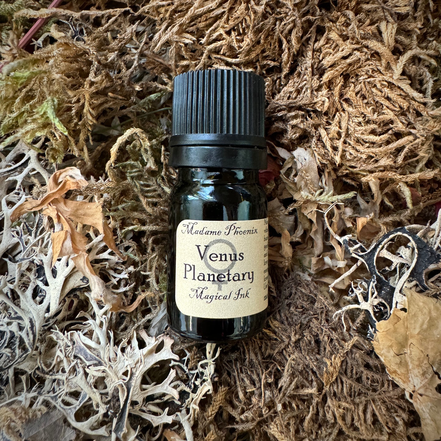 Encre de sort magique – sang de dragon, lune, sang de chauve-souris et plus encore !