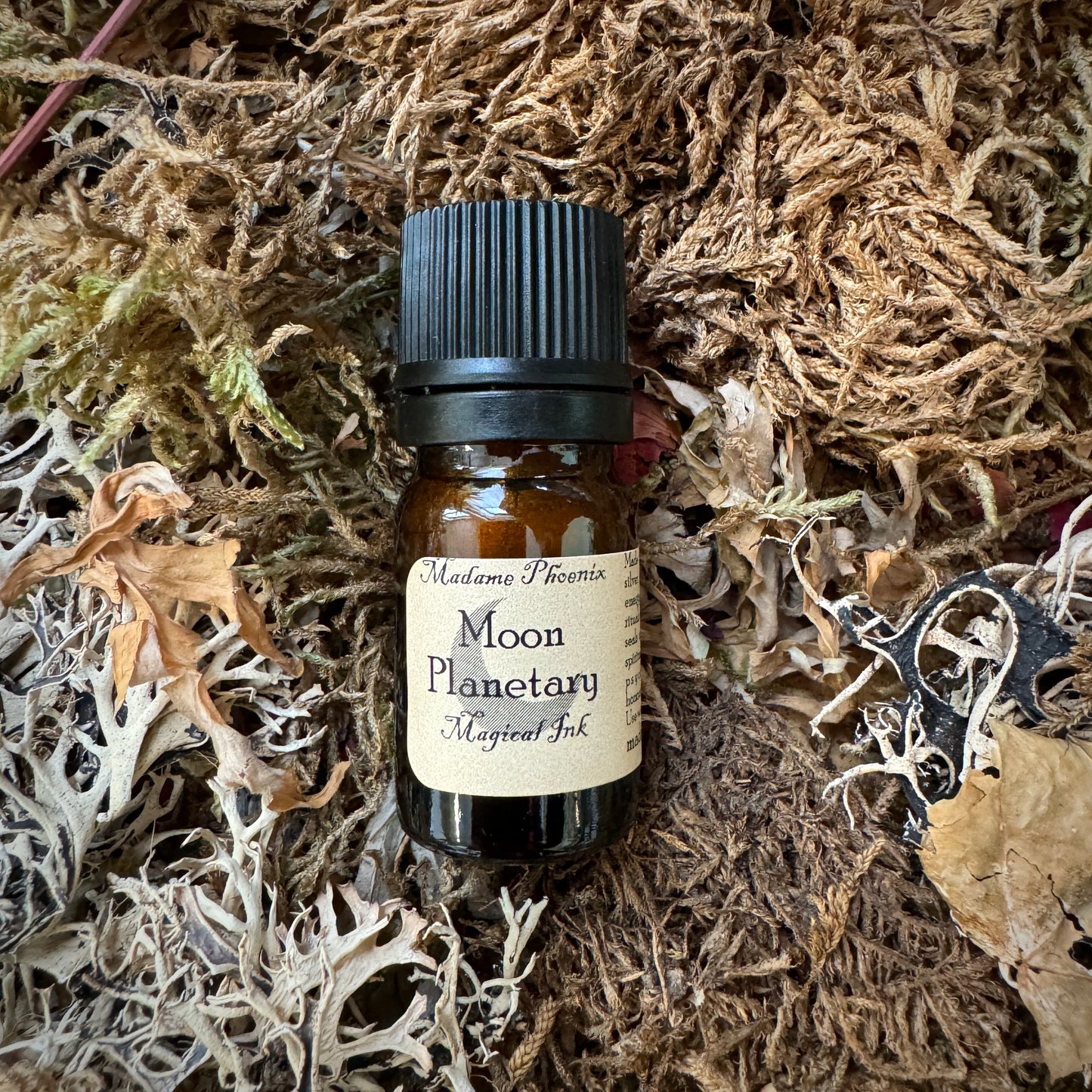 Encre de sort magique – sang de dragon, lune, sang de chauve-souris et plus encore !