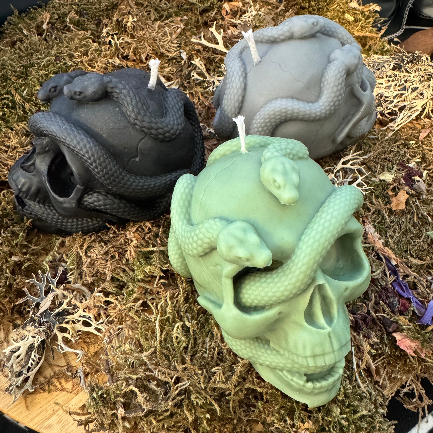 Skull and Snake Shaped Candle