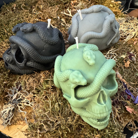 Skull and Snake Shaped Candle