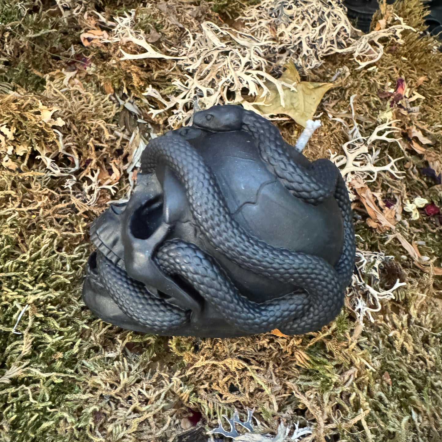 Skull and Snake Shaped Candle