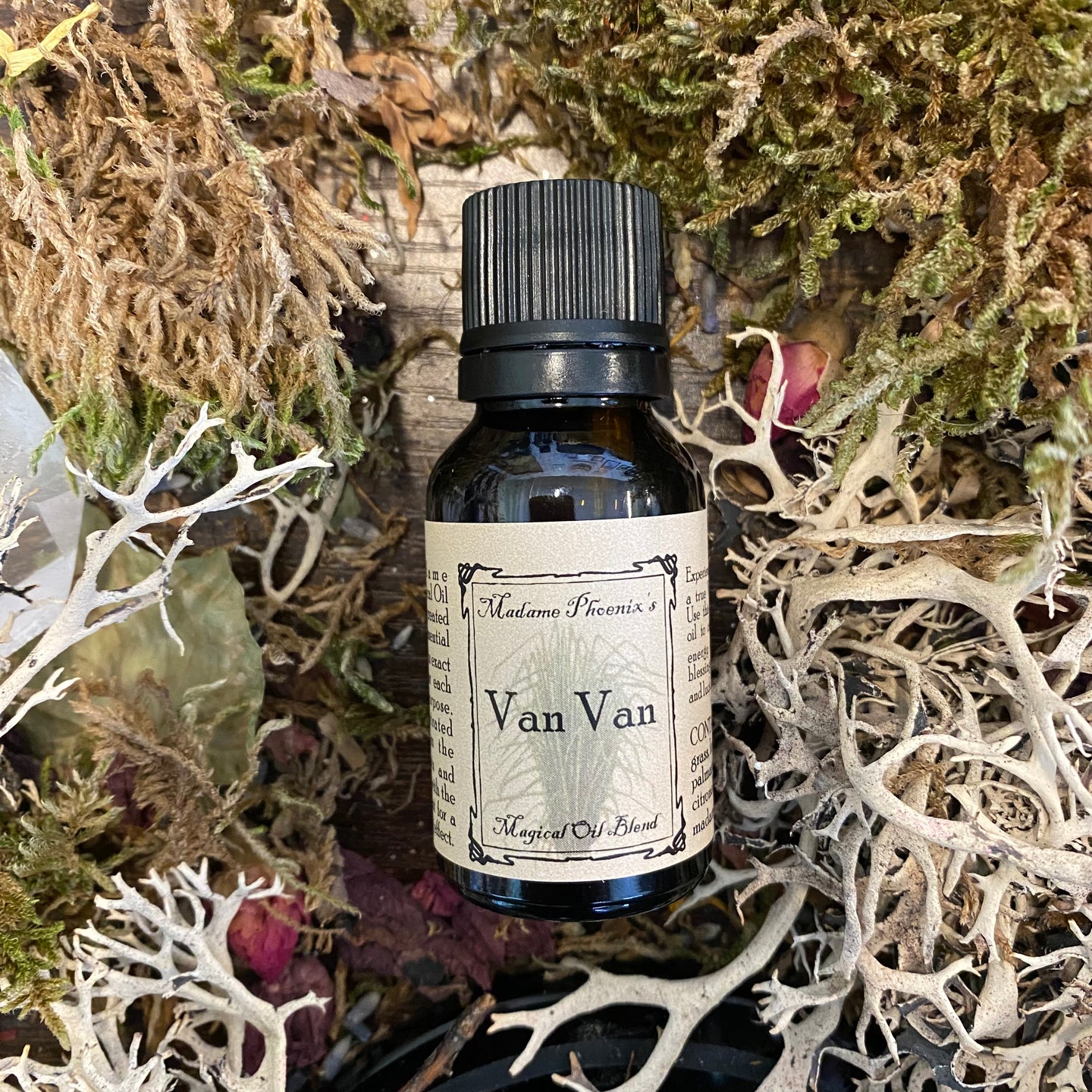 Van Van All Natural Traditional Hoodoo Magic Spell Condition Oil Dropper