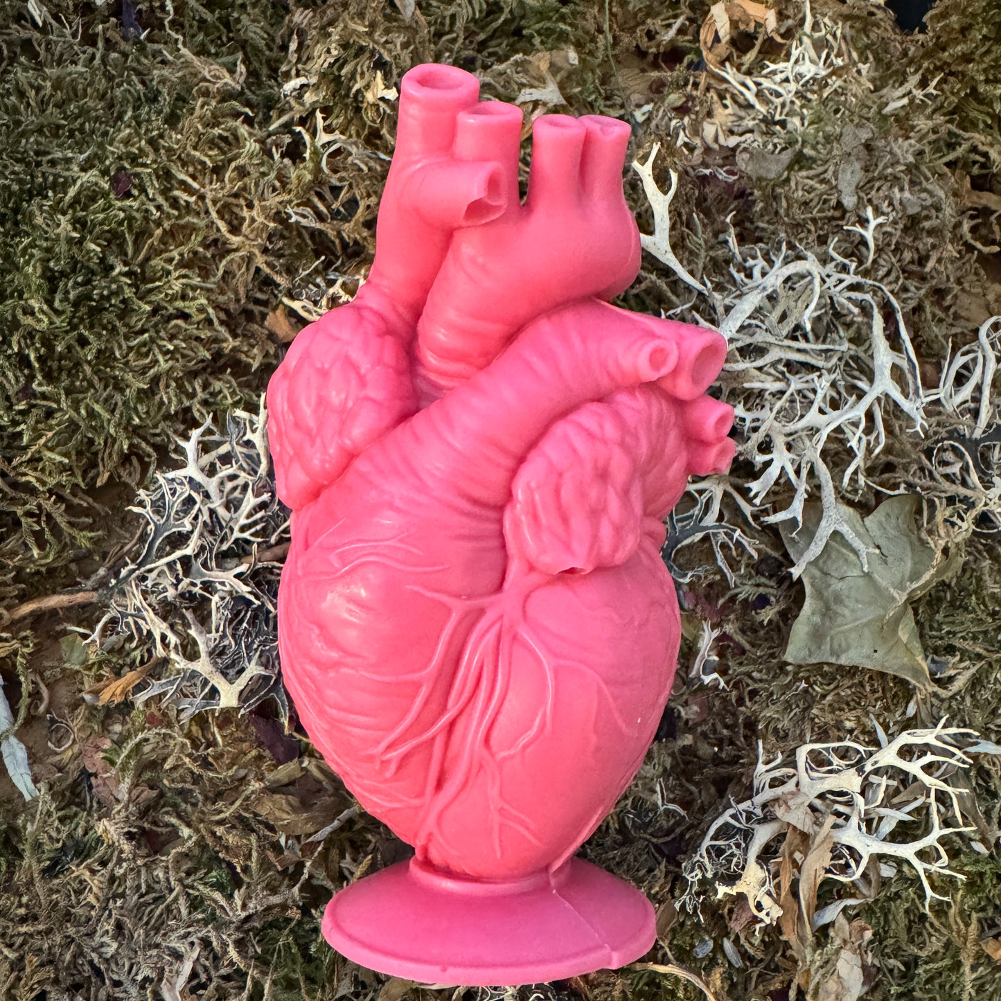 True Heart Anatomical Shaped Spell Candle