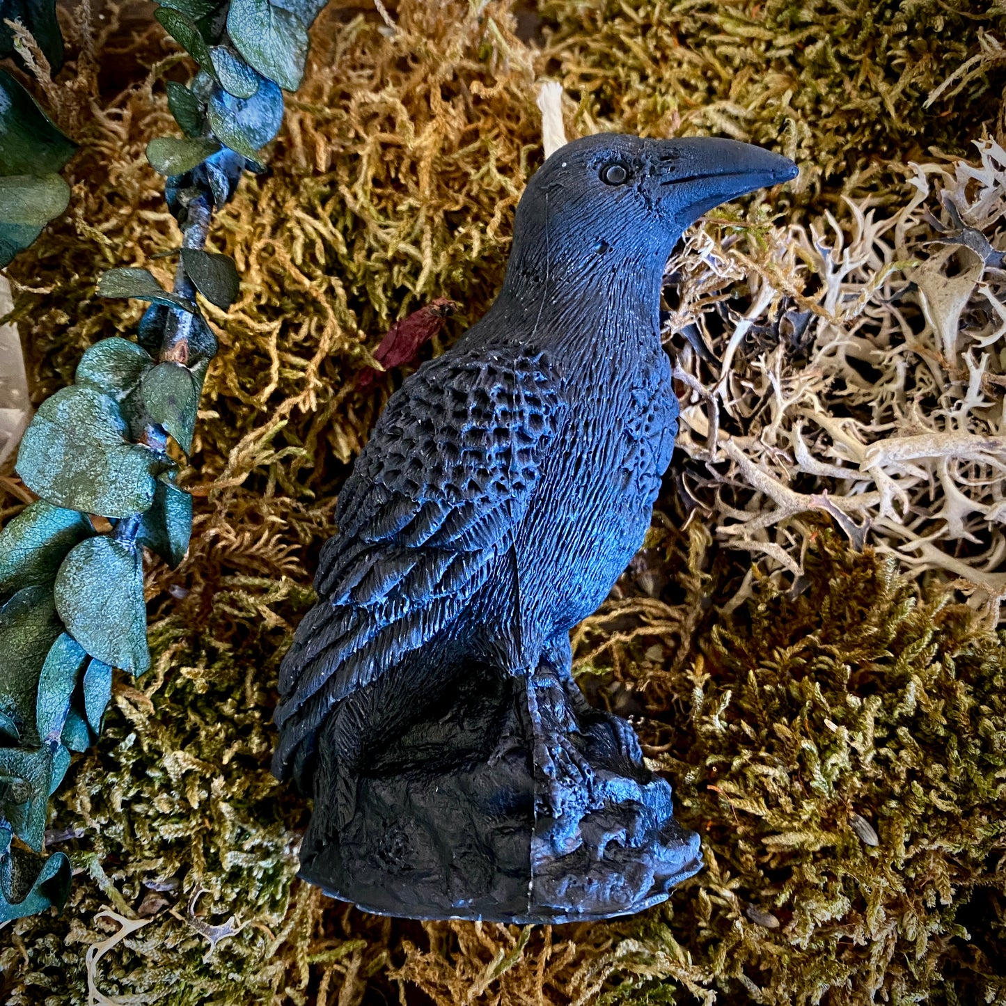 Bougie magique animale esprit corbeau 