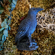 Bougie magique animale esprit corbeau 