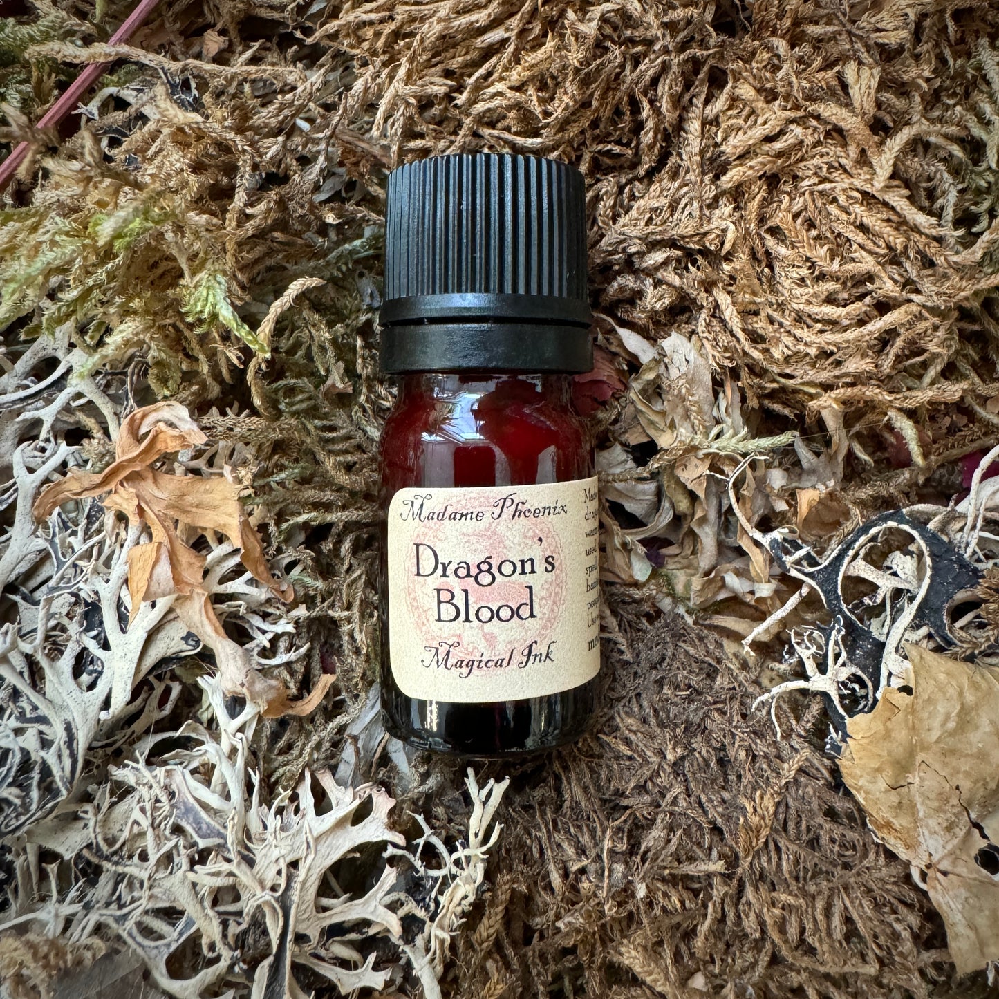 Encre de sort magique – sang de dragon, lune, sang de chauve-souris et plus encore !
