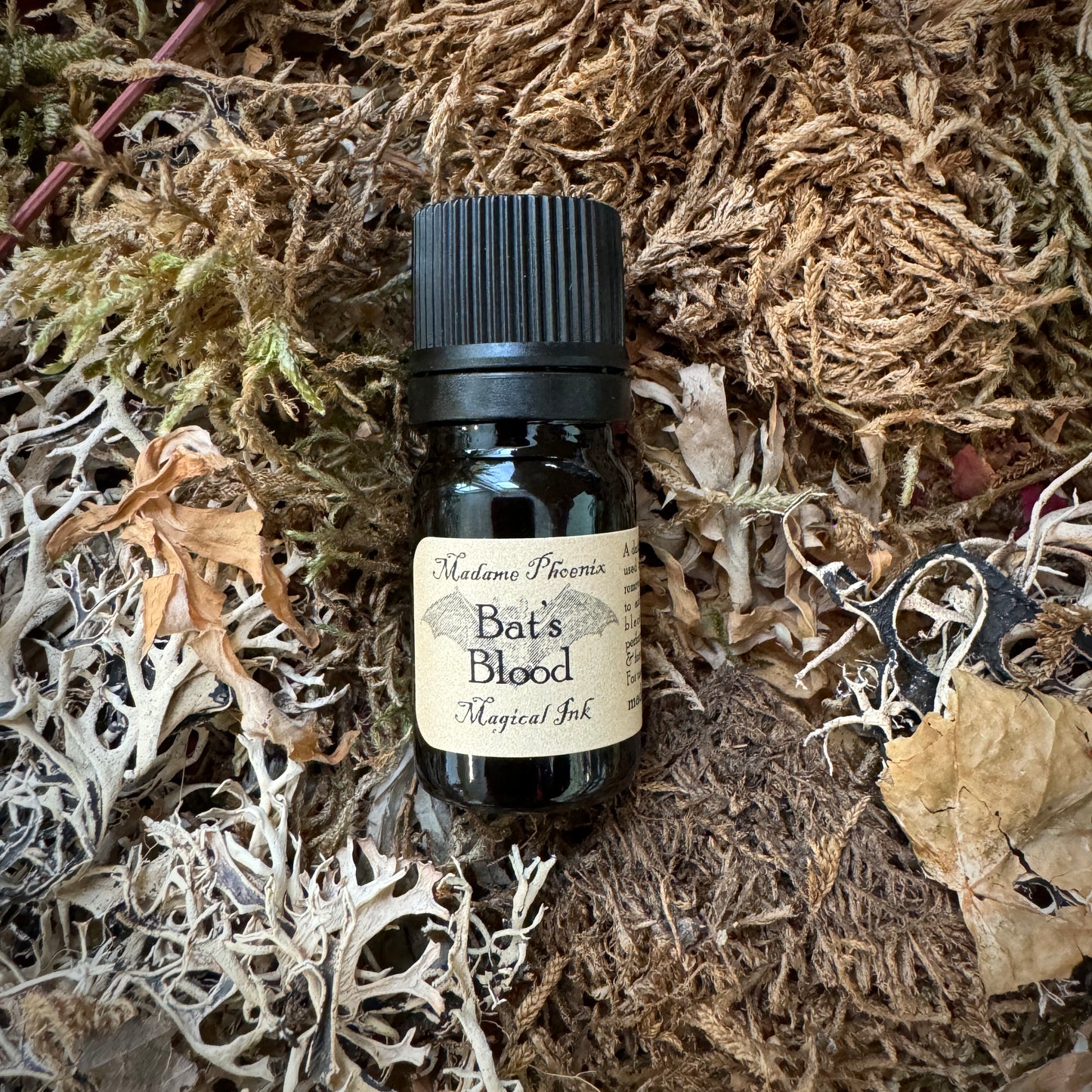 Encre de sort magique – sang de dragon, lune, sang de chauve-souris et plus encore !