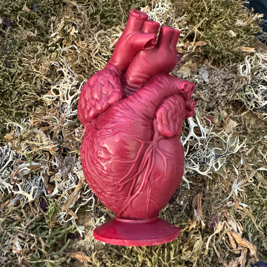 True Heart Anatomical Shaped Spell Candle