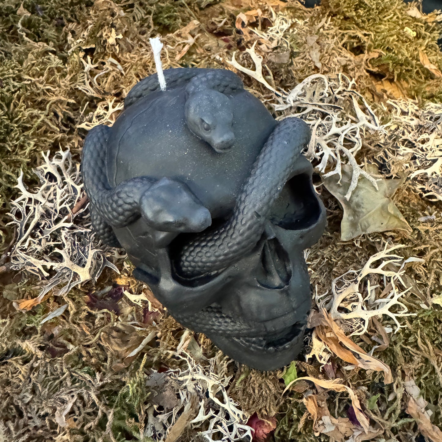 Skull and Snake Shaped Candle
