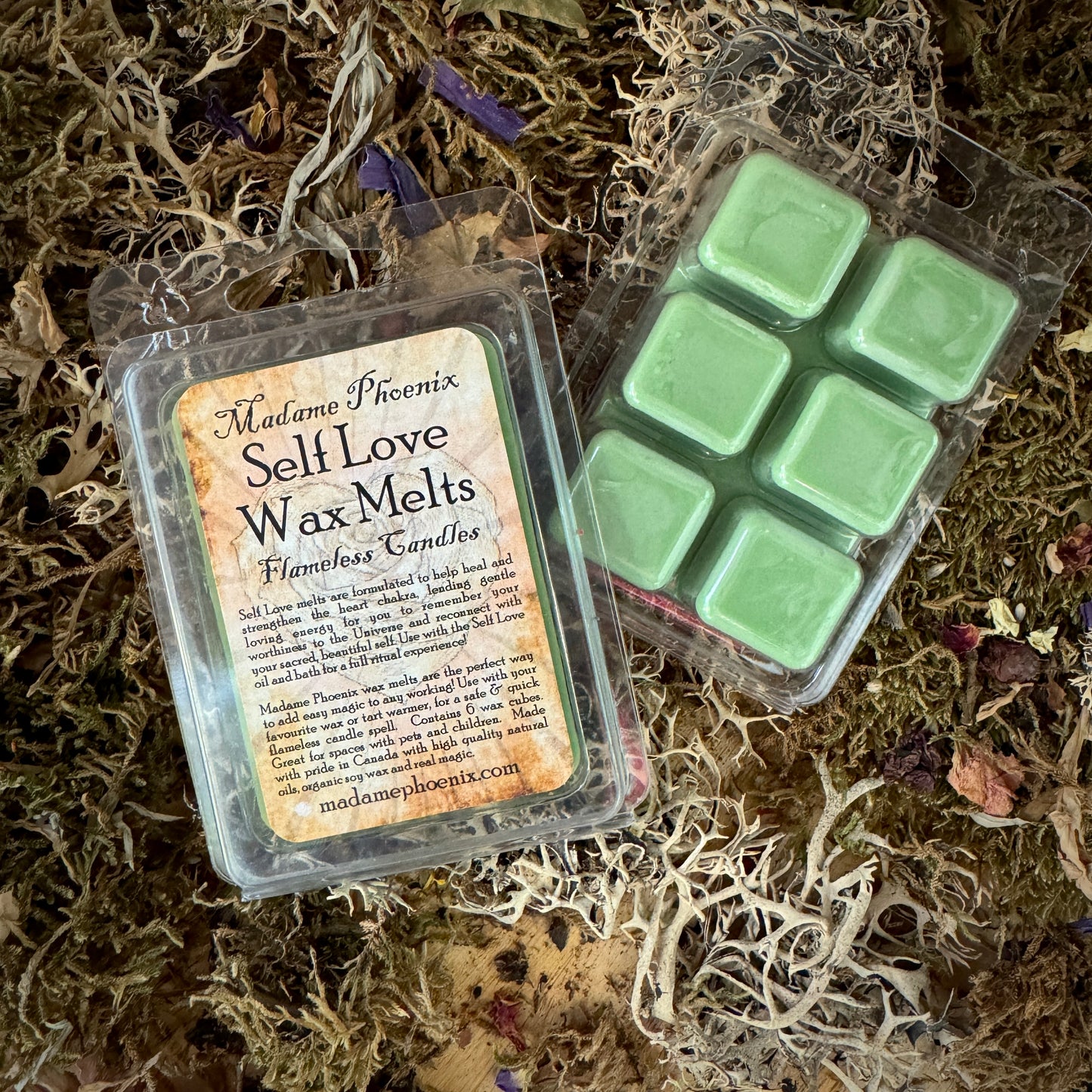 Wax Melt Mini Spell Packs (ENSEMBLE COMPLET)