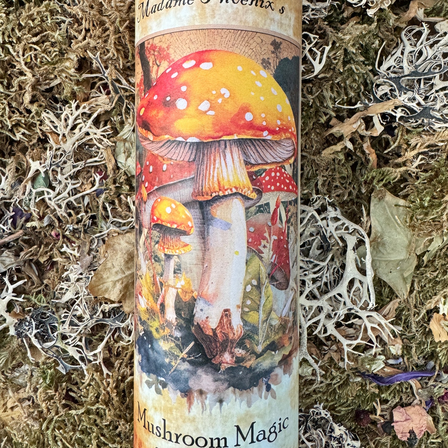 Mushroom Magic 7 Day Candle