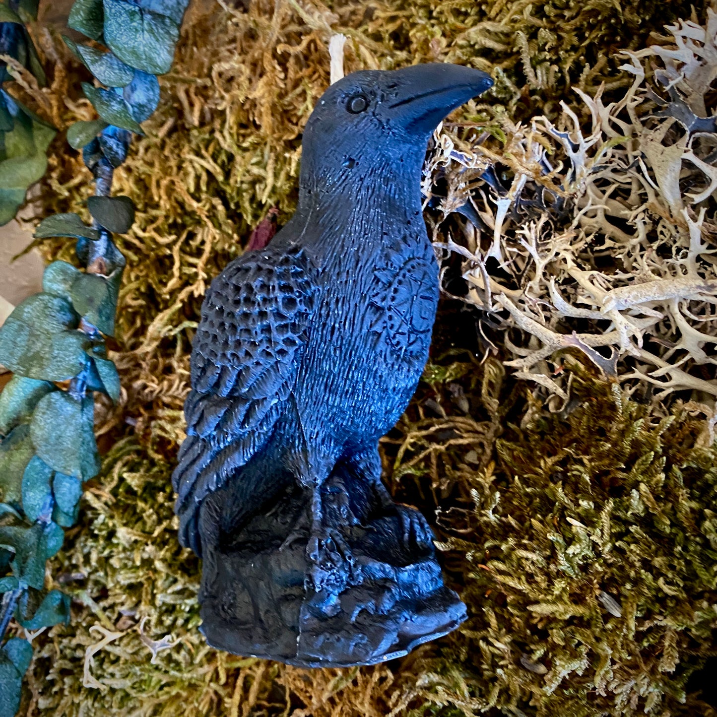 Bougie magique animale esprit corbeau 